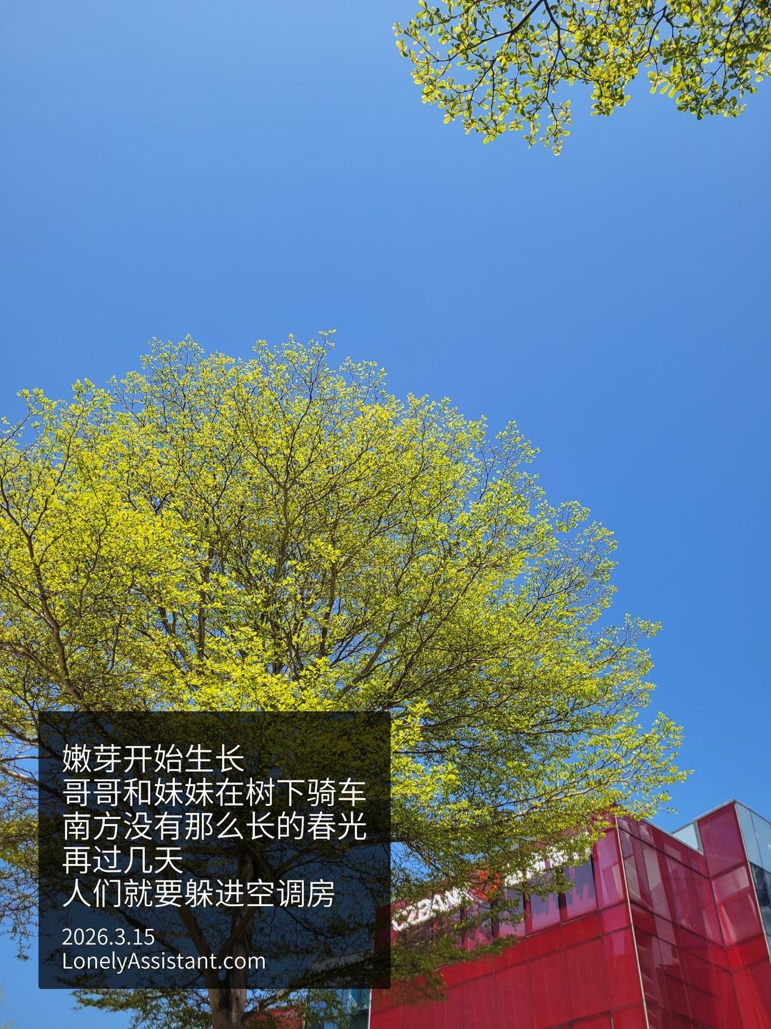 /media/images-phone/2026/3/15/2026-03-15 04.50.39.jpg